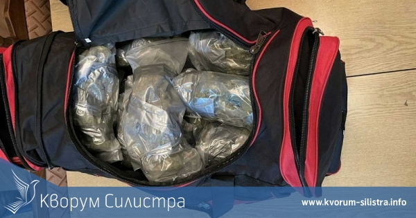 Хванаха силистренец с 2 килограма марихуана и плантация за канабис