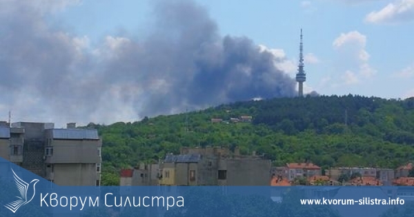 Пожарът в района на село Калипетрово е бил най-големият пожар от началото на годината