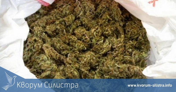 Задържаха в Силистра 25-годишен с 44,5 грама канабис