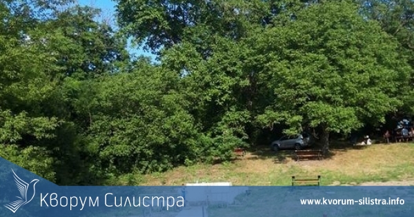 Местността "Орехова гора" става все по привлекателно място за силистренци