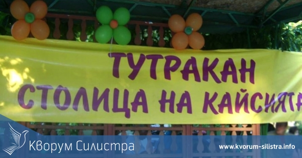 За поредна година Тутракан ще стане столица на кайсията