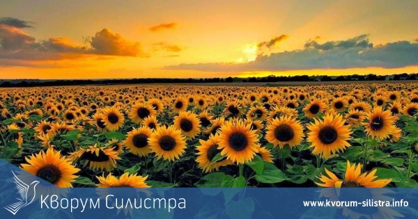 Празник "Слънчева Добруджа" организира община Силистра