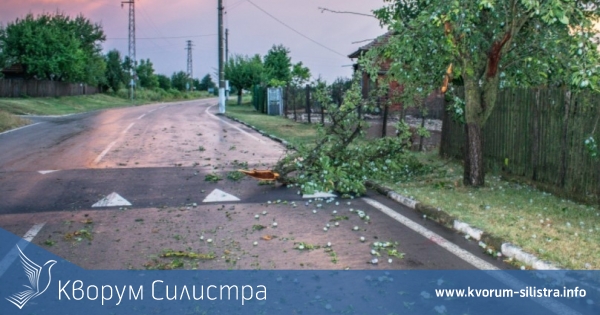 Силистренски пожарникари разчистваха и помагаха след съботната буря