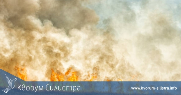 Пожарната в Силистра: Обстановката в областта е пожароопасна, бъдете внимателни и отговорни