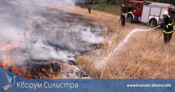 С пожар в сухи треви, паднали дървета, оси и ел.табло се занимаваха силистренските огнеборци