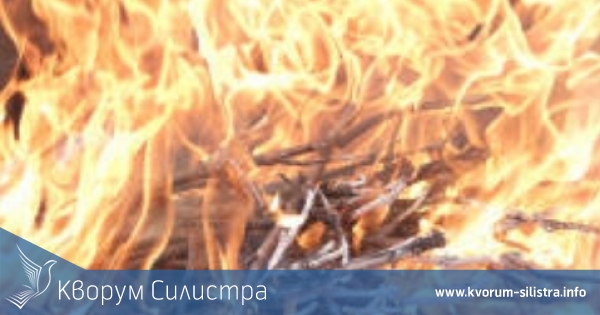 Пожар тръгнал от сухи треви изпепели 20 декара лозя до дуловско село