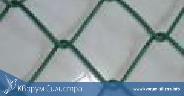 Отново ограбиха гробището на село Брадвари