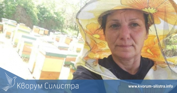 Силистренска пчеларка: Много има да учат българските политици от пчелите