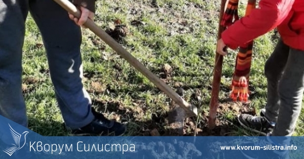Днес е последният ден да подкрепите Силистра, ако искате над 10 000 дръвчета да бъдат засадени тук