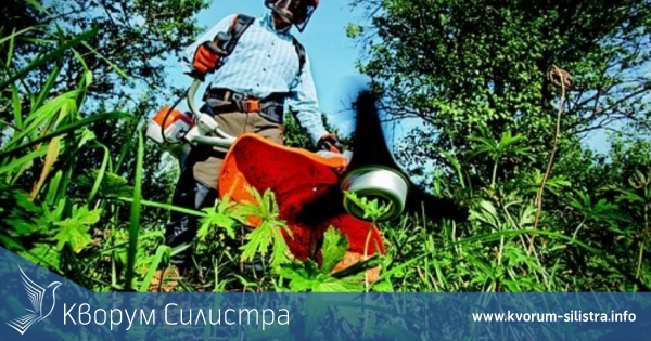 14 работодатели с 364 работника в Силистренско са одобрени за получаване на държавна финансова подкрепа