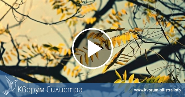 Слънчев понеделник в Силистренско