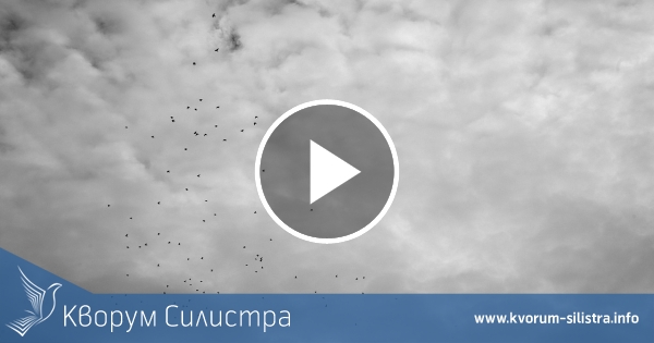 Валежите спират в облачната сряда в Силистренско