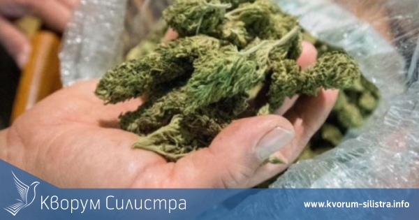 Откриха килограми канабис в дома на наркопласьор
