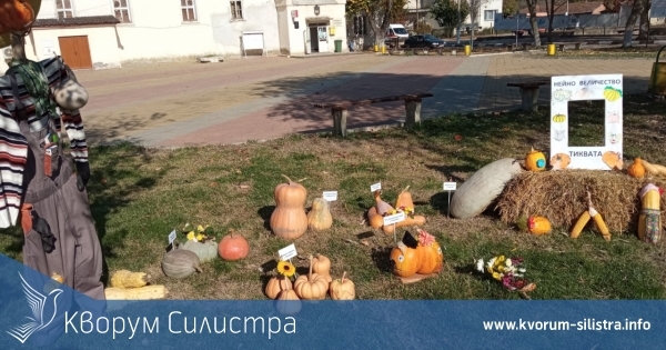 Откриха изложба "Нейно величество - тиквата" в центъра на Кайнарджа