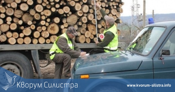 Силистренските горски конфискуваха за месец 45,5 куб. м. дърва, 2 моторни триона, 2 МПС-та и 6 каруци