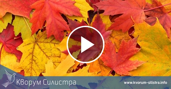 Облачна неделя в Силистренско