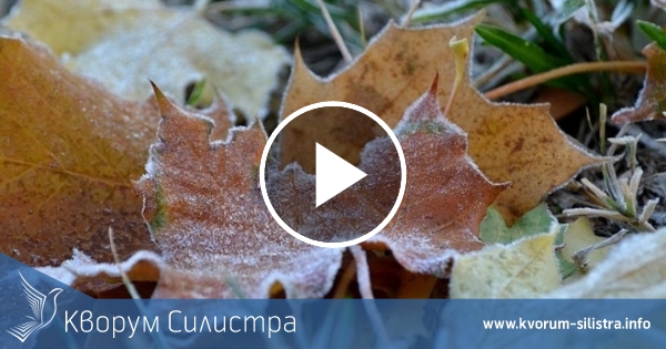 В силистренска област температурите паднаха под нулата