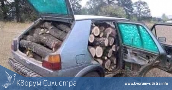 Пълен с крадени дърва нерегистриран "Фолксваген" спряха в Дуловско