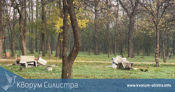 Силистренец пристигнал в Пловдив на секс туризъм с непълнолетни момчета в основата на погрома в парк Лаута