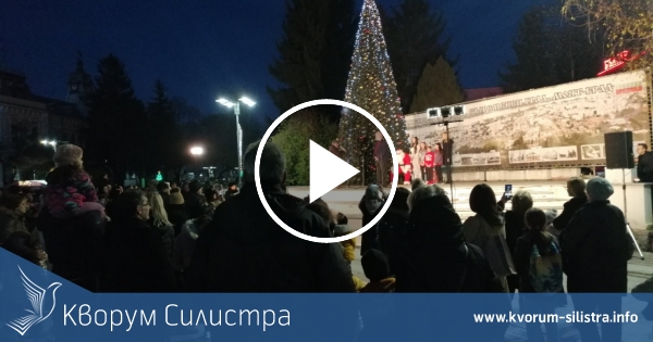 В Силистра грейна коледната елха