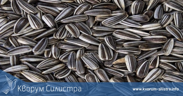 Ограбиха кооперацията в силистренското село Полковник Ламбриново