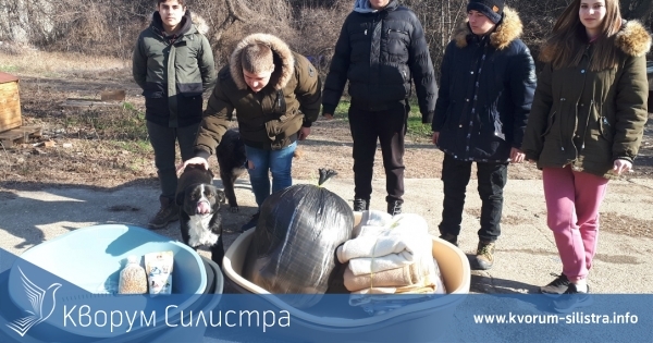 Силистренски деца купиха легла и топли завивки за Общинския приют за безстопанствени животни