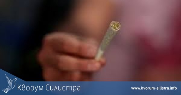 Силистренец в ареста за 0.6 грама канабис