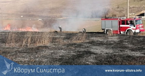 Пандемия от пожари през почивните дни в Силистренско