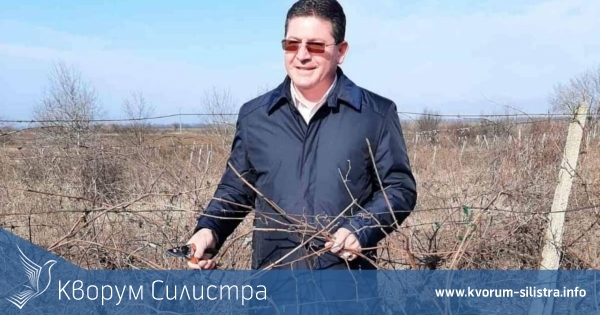 Кметът на Главиница лично заряза лозето на 14 февруари