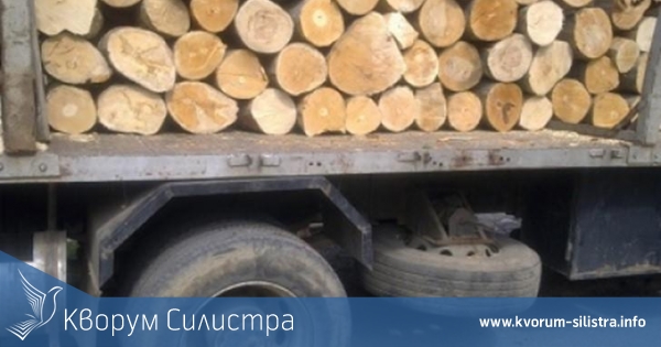 Полицаи намериха 3 кубика крадени дърва в камион
