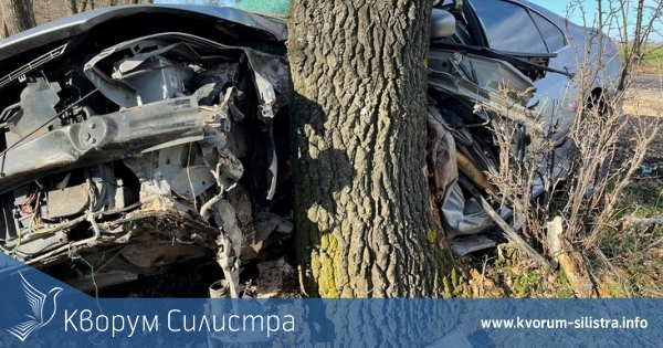Млад мъж се заби с Пежо в крайпътно дърво