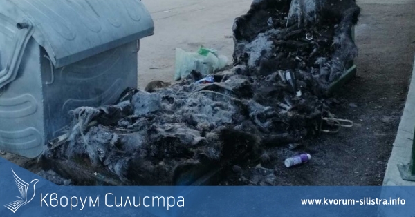 Девет пожара са загасени от екипи на противопожарните звена в област Силистра на 15 и 16 март