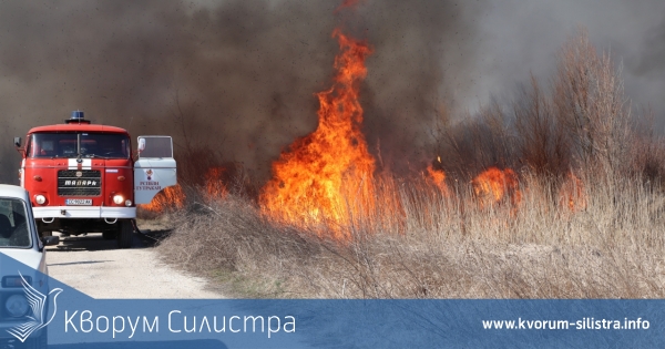 Хиляди декари суха растителност и тръстика са засегнати от пожар в защитена местност "Калимок-Бръшлен"