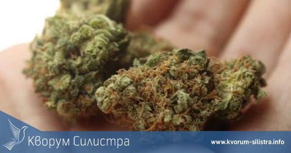 Тийнейджърка е била арестувана с наркотици в Силистра