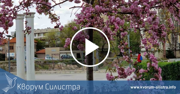 По-топъл четвъртък в Силистра