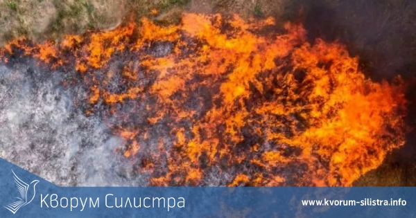 Спасиха овощна градина в Главан