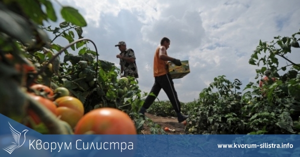 Инспекцията по труда в Силистра активизира контролната си дейност в селското стопанство