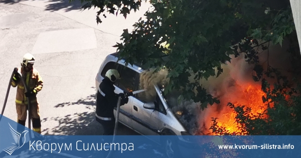 Горя кола в Дулово, автоотпадъци в Тутракан и дърво падна на разклона за Поляна