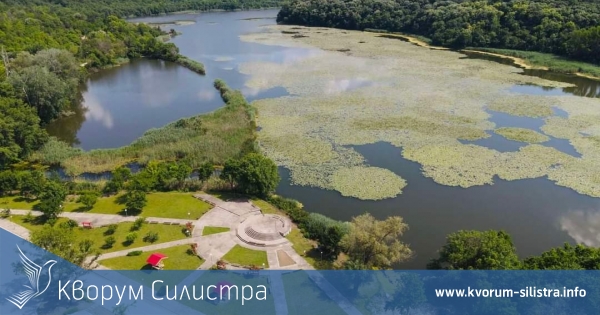 Общинската администрация в Главиница се погрижи за царството на водните лилии