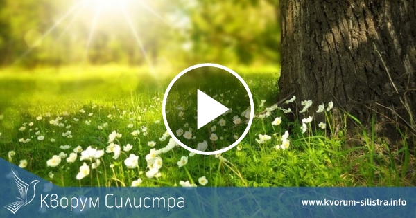 Слънчева неделя със слаб дъжд през късните часове