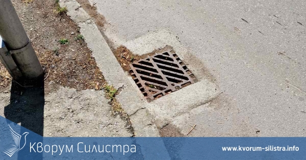 Силистренските пожарникари гасиха сухи треви, спасиха коте от шахта, отводниха маза и отстраниха паднало дърво
