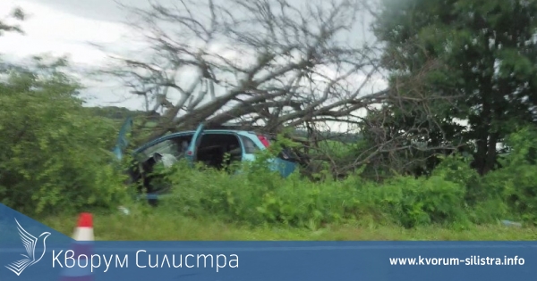 Кола излетя от пътя и се заби в дърво, две жени леко пострадаха