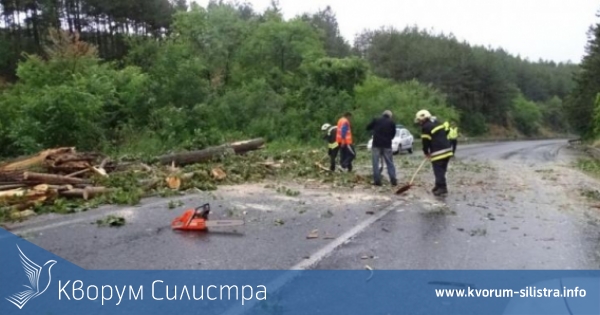 Полицията с информация за нанесените щети от бурята в Силистренско