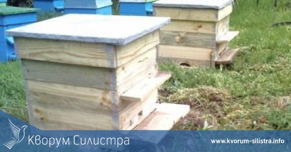 Откраднаха 2 пчелни кошера до Иширково