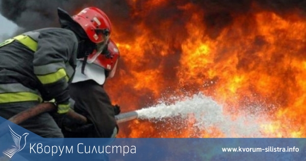 Три декара слънчоглед изгоряха в Дуловско