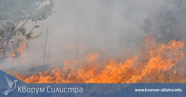 Само от началото на седмицата горяха 13 пожара в Силистренска област
