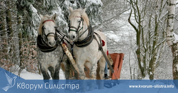 През коя година е била най-мразовитата зима в Силистренско?