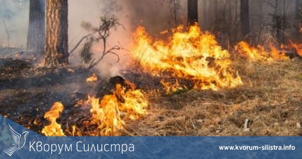 Изгоряха 20 декара гора до дуловско село