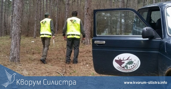 Близо 12 000 проверки в горите на Северноцентрално държавно предприятие, в чиито обхват е територията на област Силистра