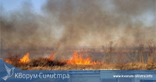 400 декара гора са унищожени при пожара в който пенсионер получи изгаряния